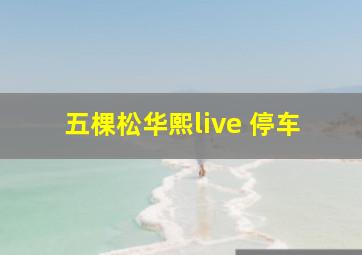 五棵松华熙live 停车